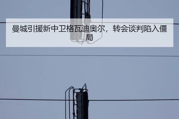 曼城引援新中卫格瓦迪奥尔，转会谈判陷入僵局
