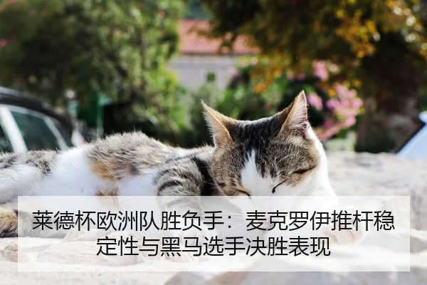 莱德杯欧洲队胜负手：麦克罗伊推杆稳定性与黑马选手决胜表现