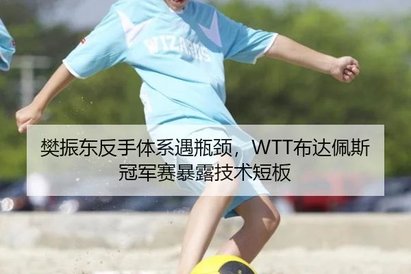 樊振东反手体系遇瓶颈，WTT布达佩斯冠军赛暴露技术短板