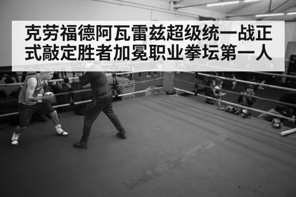 boxer training gym